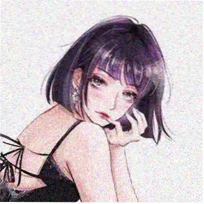 游客阿岚头像